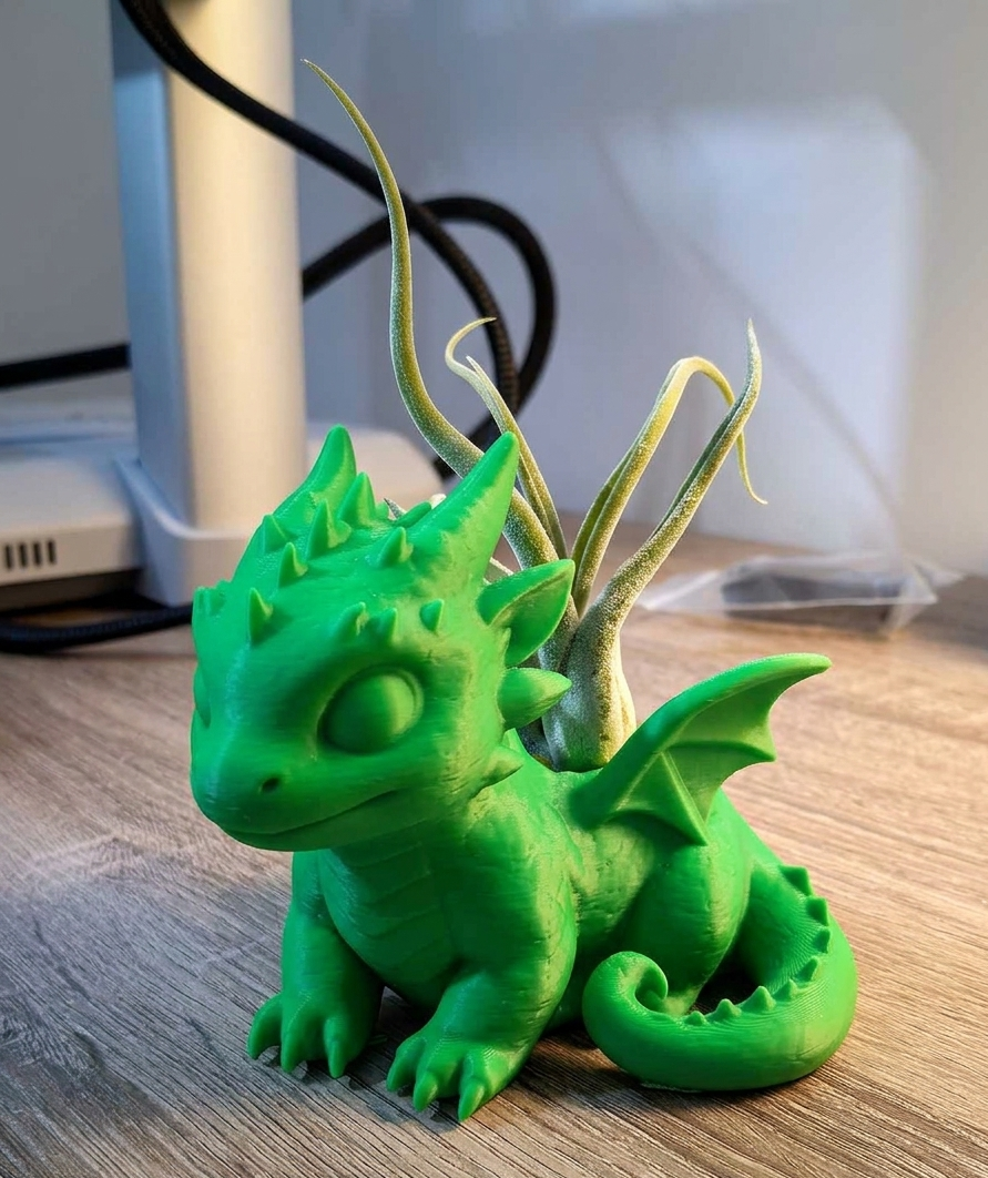 Mystical Dragon Air Plant Holder STL